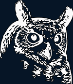 night-owl